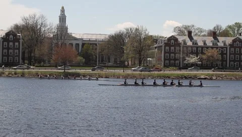 Harvard boat 2 Stock Footage 5296795