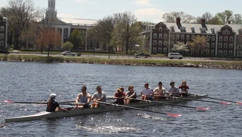 Harvard boat 3 Stock Footage 5296788