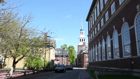 HARVARD CAMPUS Stock Footage 178517408