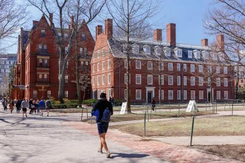 Harvard Campus Stock Photos