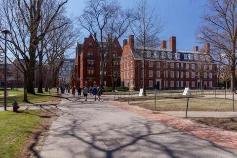 Harvard Campus Stock Photos