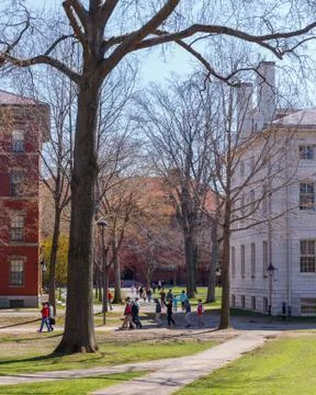 Harvard Campus Stock Photos