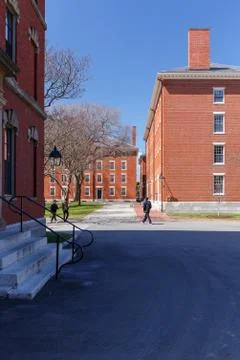 Harvard Campus Scene Stock Photos