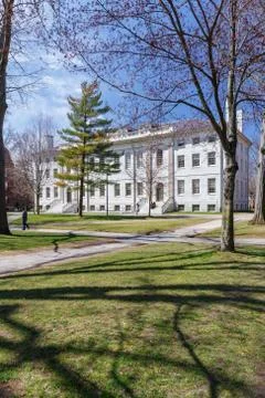 Harvard Campus in Spring Stock Photos