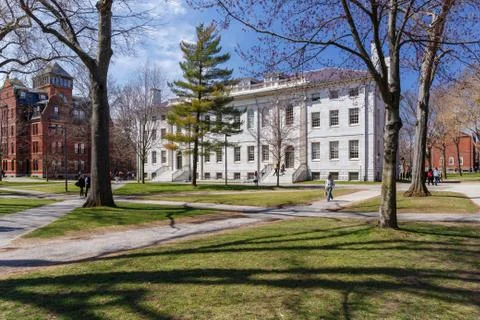 Harvard Campus in Spring Stock Photos