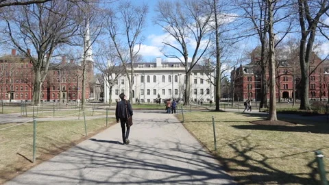 HARVARD CAMPUS WALK Video stock 181011405