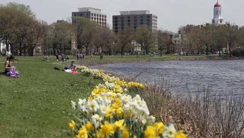 Harvard charleston river Stock Footage 5296773