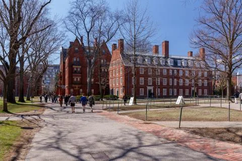 Harvard Comapus Stock Photos