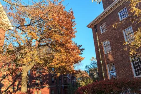 Harvard Fall Dorms Stock Photos