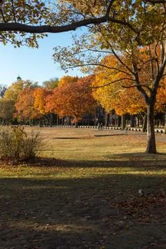Harvard Fall Landscape Stock Photos