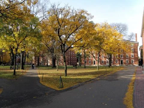 Harvard Old Yard Fotos de archivo