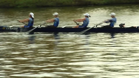 HARVARD REGATTA Stock Footage 190991312