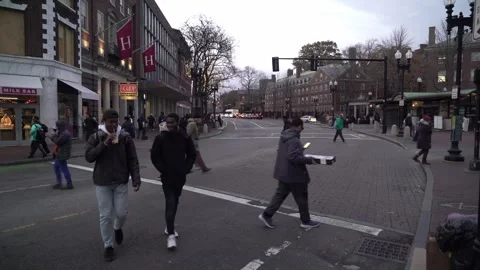 Harvard Square, Harvard Urban Campus Stock Footage 313723883