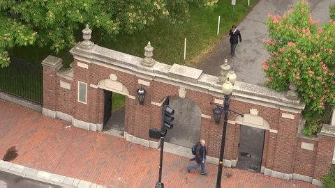 Harvard University 스톡 동영상 87379536