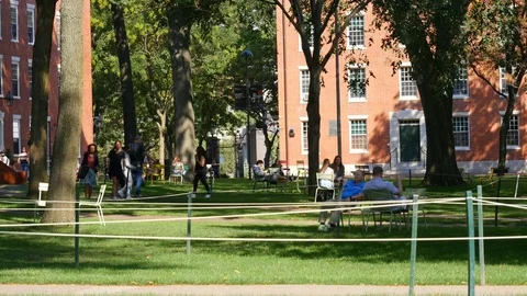 Harvard University - Students walking under the trees on the Old Yard square. Stock Footage 83567257