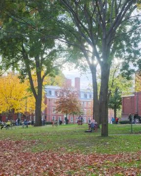 Harvard Yard Fall Day Stock Photos