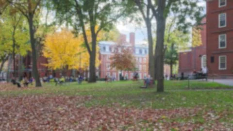 Harvard Yard Fall Day Stock Photos