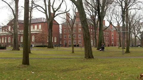 Harvard Yard Vidéo 49802040