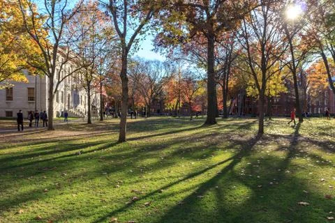 Harvard Yard Stock Photos