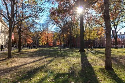 Harvard Yard Stock Photos