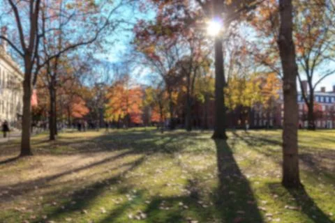Harvard Yard Stock Photos