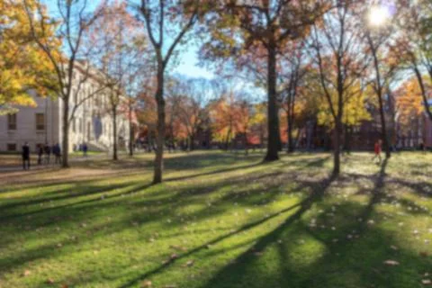 Harvard Yard Stock Photos