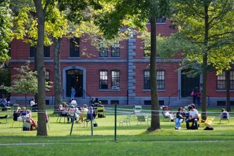 Harvard Yard Scene Foto stock