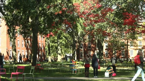 Harvard Yard. Students on the square with freshman dormitories in background. Stock-Footage 60659120