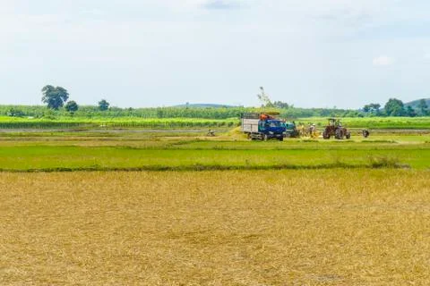 Harvert field Stock Photos