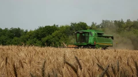 Harvest 001 Stock Footage 14815284