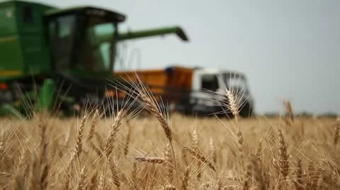 Harvest 003 Vídeos de archivo 14815306
