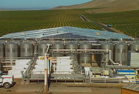 Harvest 01 Stock Footage 621344