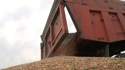 Harvest 010 Stock Footage 14815279