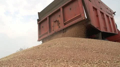 Harvest 011 Stock Footage 14815287