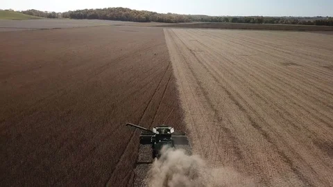 Harvest 13 Stock Footage 103224767