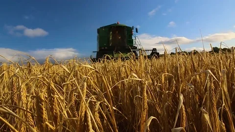 Harvest 2 Stock Footage 94584377