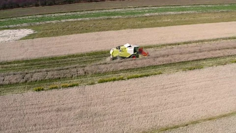 Harvest 3 Stock Footage 158831949