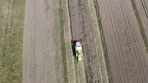 Harvest 4 Stock Footage 158831941