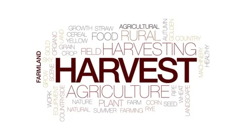 Harvest animated word cloud, text design animation. Kinetic typography. Stock Footage 75375216