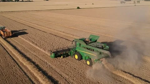 Harvest August 1st 2020 Stock Footage 136474209