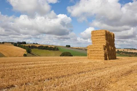 Harvest bale stack Foto stock