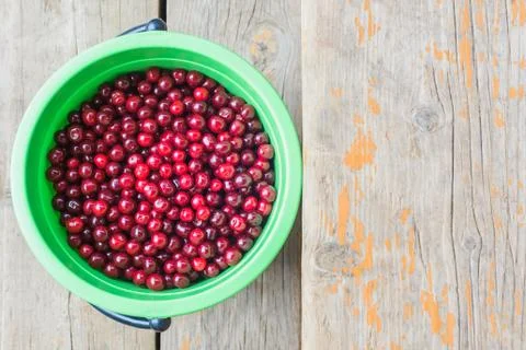Harvest of cherry Stock Photos