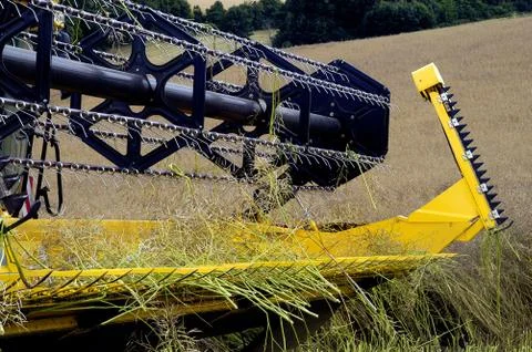 The harvest of colza Stock Photos
