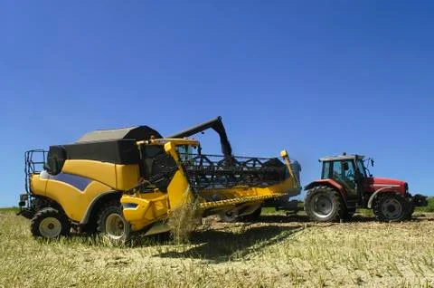 The harvest of colza Stock Photos