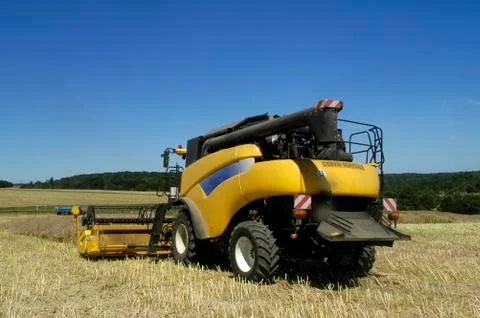 The harvest of colza Stock Photos