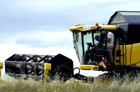 The harvest of colza Stock Photos