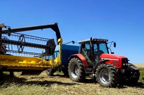 The harvest of colza Stock Photos