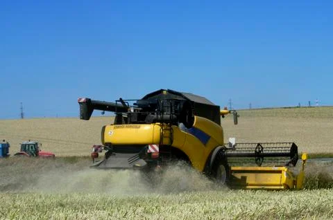 The harvest of colza Stock Photos