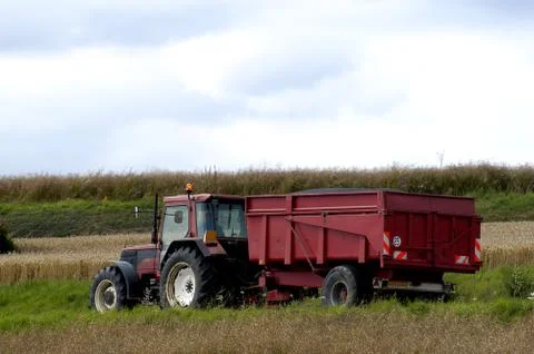 The harvest of colza Stock Photos