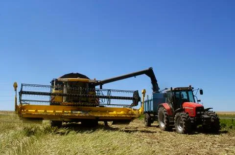 The harvest of colza Stock Photos